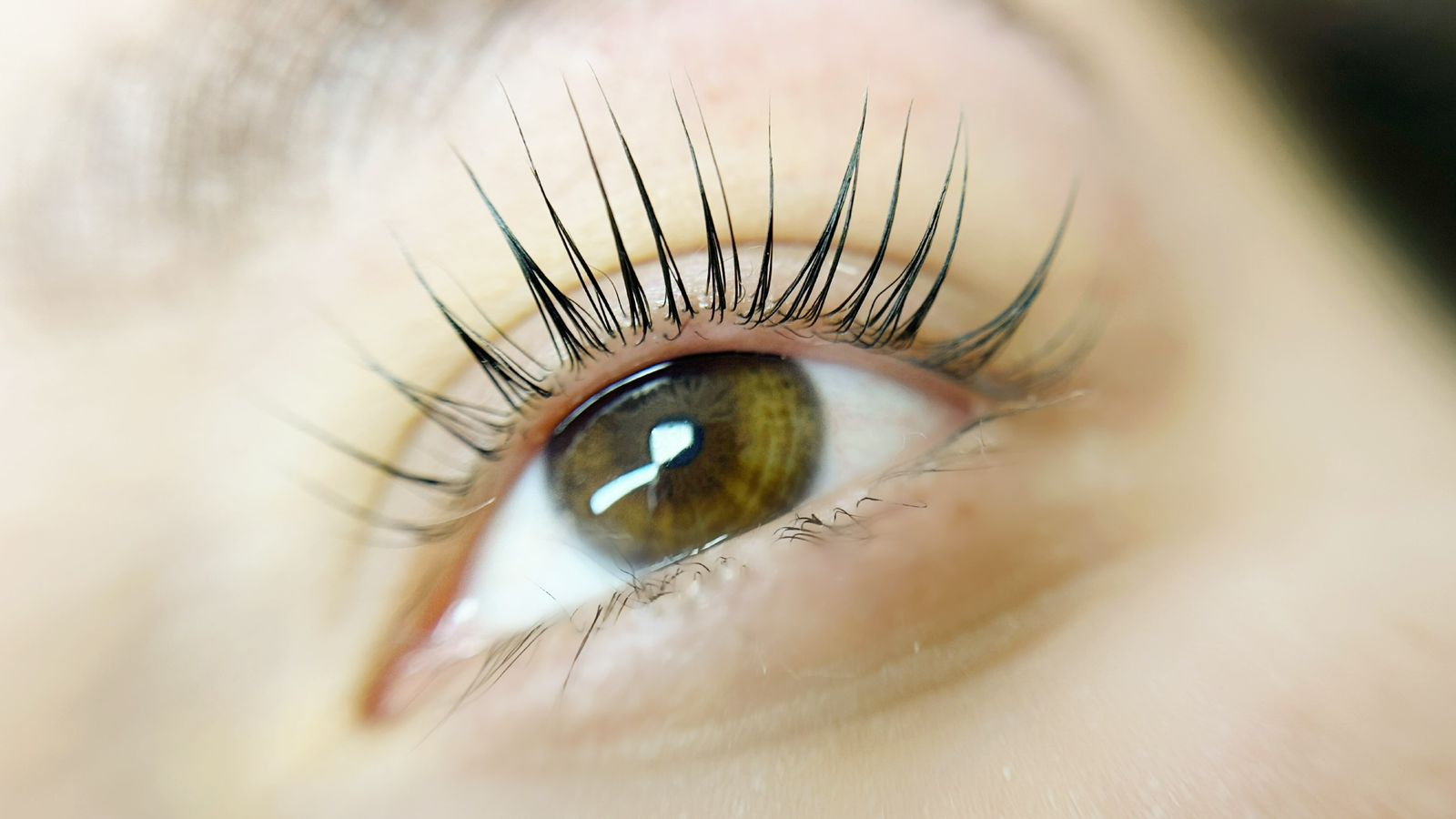Lash Lifting